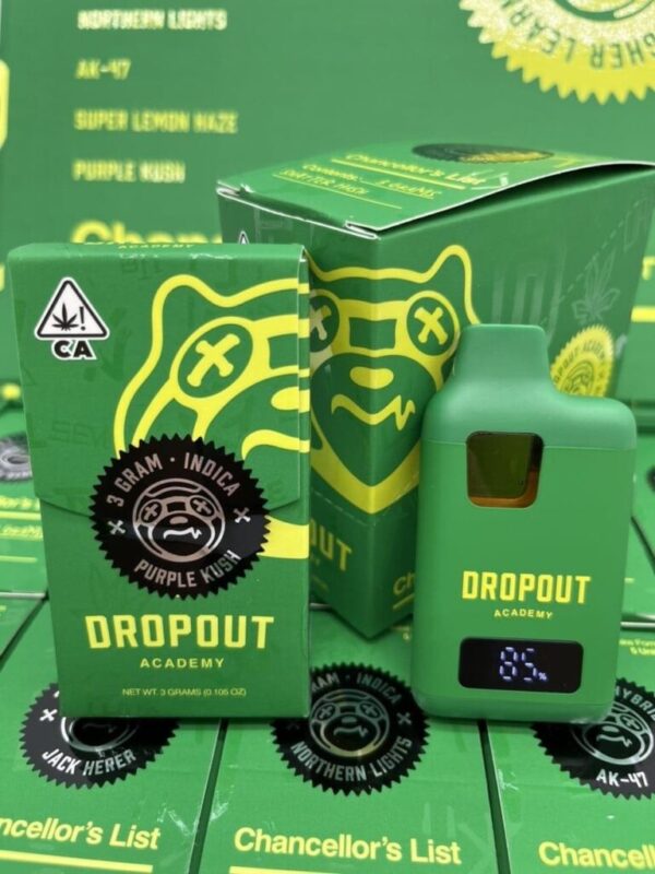 Dropout Academy Disposable