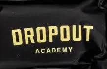 dropoutdisposables.com